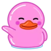 Pink Duck 14