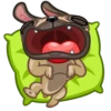 Fred the Pug 21