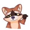 Proha Raccoon 24