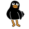 Black Duck 16