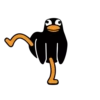 Black Duck 17