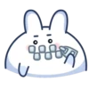 Chappy Bunny 🐰 24
