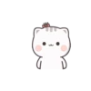 Cute Cats 23