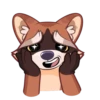 Proha Raccoon 25