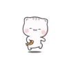 Cute Cats 24
