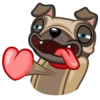 Fred the Pug 22