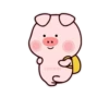 Stupid Pig 23