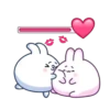 Chappy Bunny 🐰 26