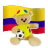 Osito Colombiano👣1🇨🇴Movi 28
