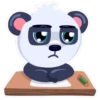 Panda Amanda 13