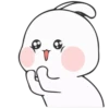 ❀nuomi rabbit 28