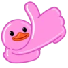 Pink Duck 16