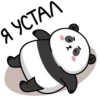 panda_anim 20