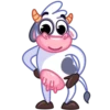 Cow 24