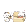 Gatitos Lindos (Poning) 😺4😺 29