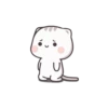 Cute Cats 29