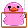 Pink Duck 17