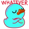 Rainbow Duck 14