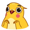 Yellow Boy 20