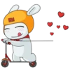 Mi Bunny 27