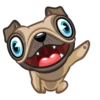 Fred the Pug 25