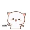 Mochi Cat 24