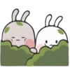 ❀nuomi rabbit 29