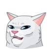 Memes With Cats 6