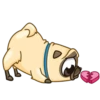 Puga the Dog 5