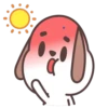 Hao Pup 6