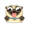Puga the Dog 7