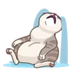 Memes With Cats 9