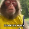 MonkeyPon 9