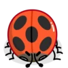 Ladyboo 5