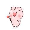 Stupid Pig 5