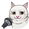 Memes With Cats 10