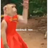 MonkeyPon 10