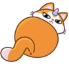 A Unicorn Cat 5