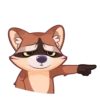 Proha Raccoon 5