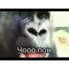 MonkeyPon 12