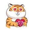 Grumpy Tiger 5