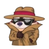Proha Raccoon 6