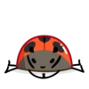 Ladyboo 8