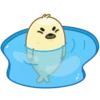 Polar Pup 10
