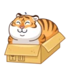 Grumpy Tiger 6