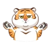 Grumpy Tiger 7