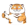 Grumpy Tiger 10