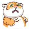 Grumpy Tiger 11