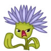 Live Flowers 10