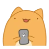 Orange Capoo 6